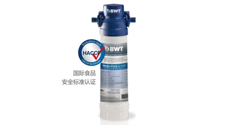 BWT Woda-Pure s超能係列91免费版短视频器